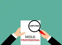 certified mold inspector