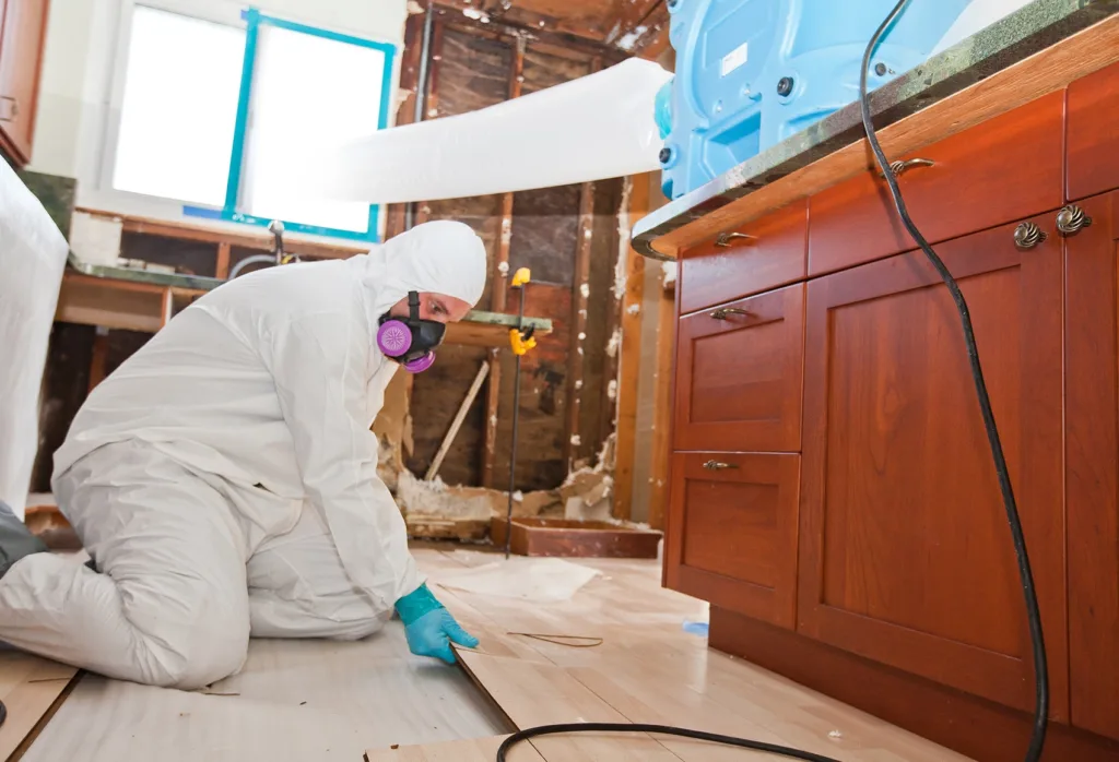 Swift Restoration technician in PPE performing kitchen mold remediation and water damage restoration in Lafayette.