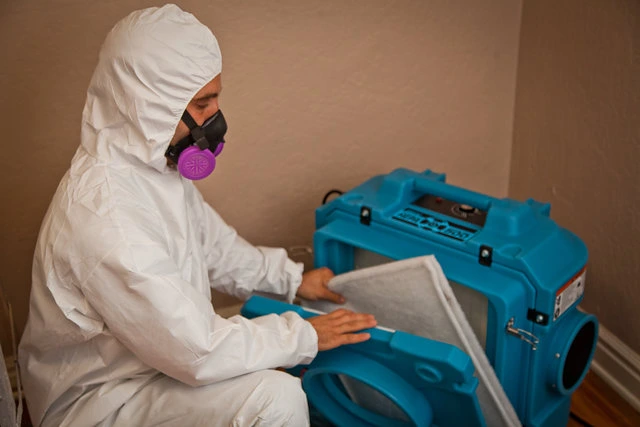 Professional mold inspection and air scrubbing for toxic black mold remediation in Berkeley.